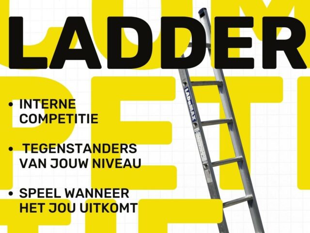 https://www.tcelburg.nl/wp-content/uploads/2022/05/ladder-3-640x480.jpg