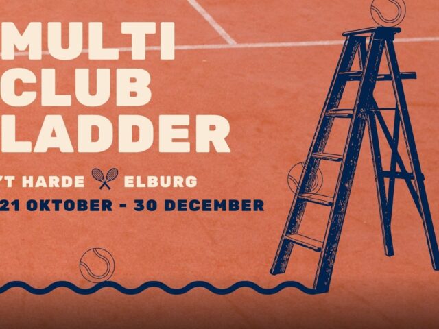 https://www.tcelburg.nl/wp-content/uploads/2023/01/Ladder-3x4-1-640x480.jpg