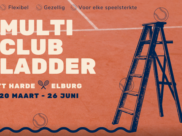 https://www.tcelburg.nl/wp-content/uploads/2023/03/ladder3x2-640x480.png